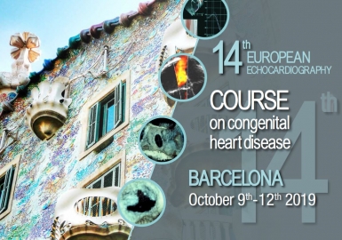 THE 14TH EUROPEAN ECHOCARDIOGRAPHY COURSE ON CONGENITAL HEART DISEASE